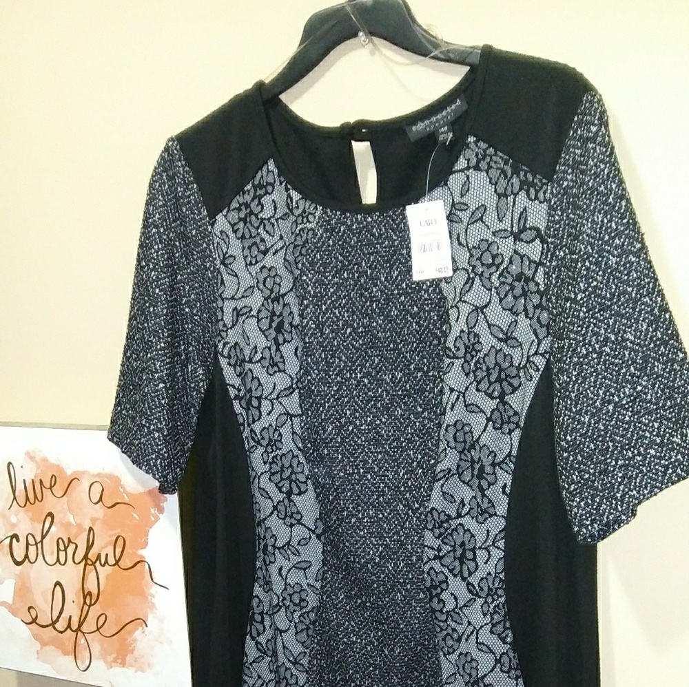 Black,White Gray Dress New